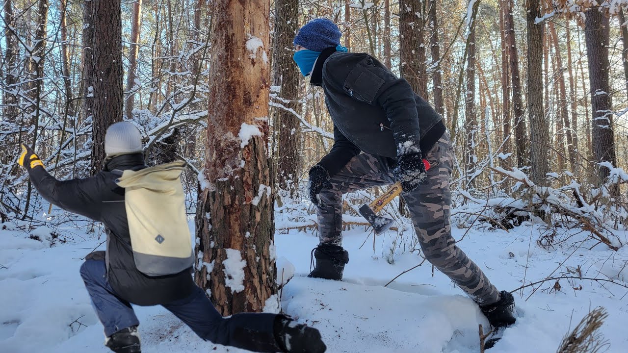 wildlife animals found in the forest in winter Life