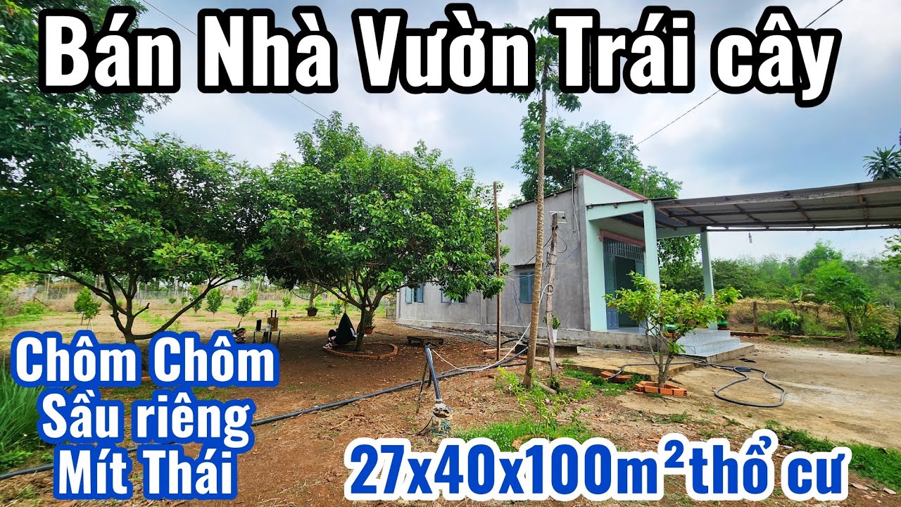 S.64.Bán Nhà Vườn Sầu riêng. CHÔM CHÔM. mít Thái Cách DT757 chỉ 1km (27x40x100m²tc)Giá 720tr BS
