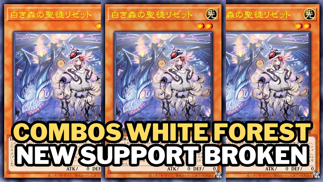 NEXT TOP TIER 1 - COMBOS WHITE FOREST AZAMINA | BROKEENNN SUPPORT 🔥