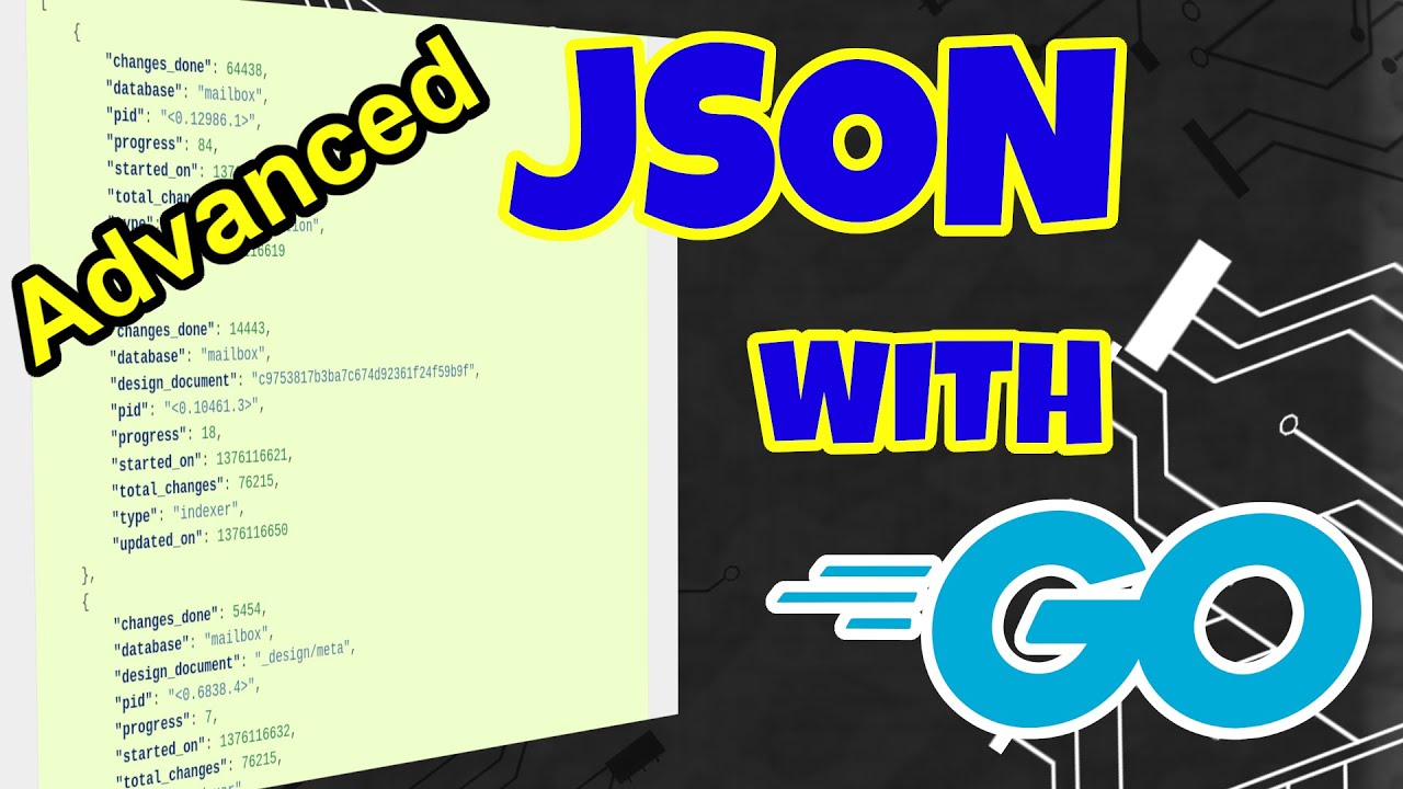 Advanced JSON Handling in Go