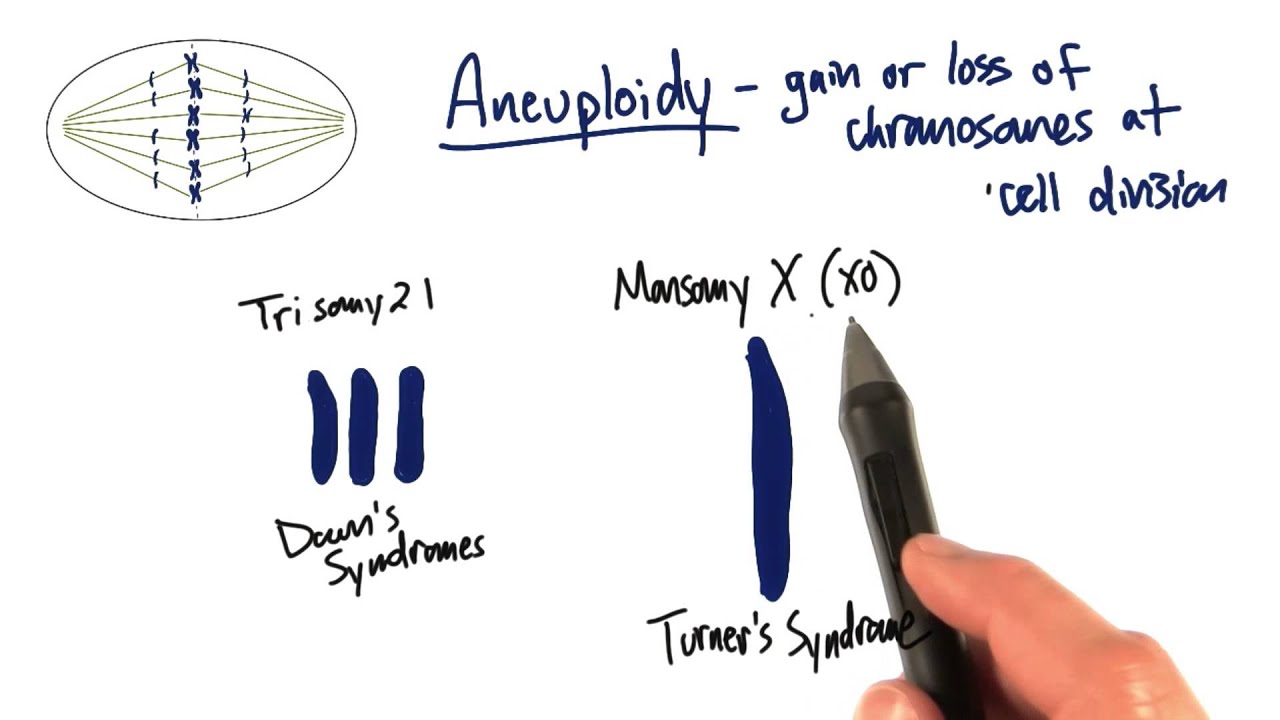 Trisomy and Monosomy - Tales from the Genome