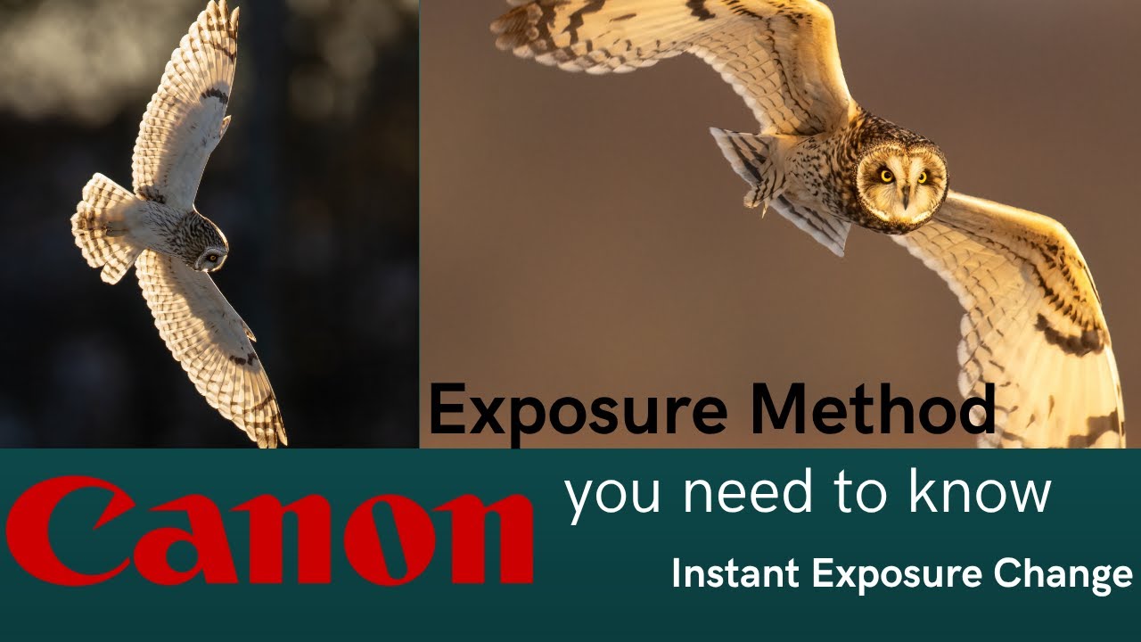 Canon R5II and R1 Exposure Method you Need to Know