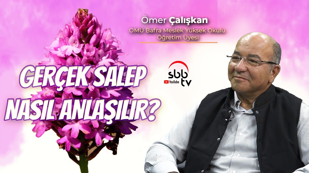 Gerçek salep nasıl anlaşılır?  |  Tarım Vakti