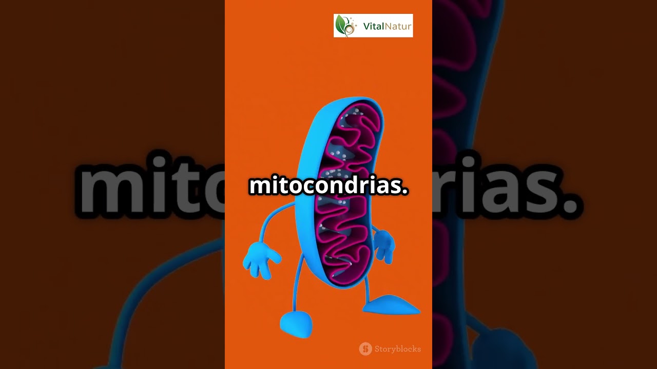 Quieres vivir mas! Activa tu SIRTUINAS #VidaSaludable #Alimentaci&oacute;nConsciente #EjercicioSaludable