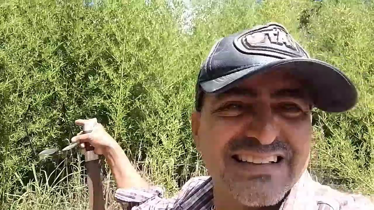 Eu voltei meu Rio Querido Rio da Onça 