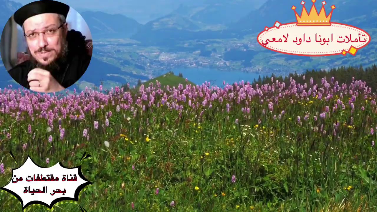 تامل ابونا داود لامعي#اهمية طلب المشورة الصحيحة والسليمة لحياتنا#قناة مقتطفات من بحر الحياة#!!!