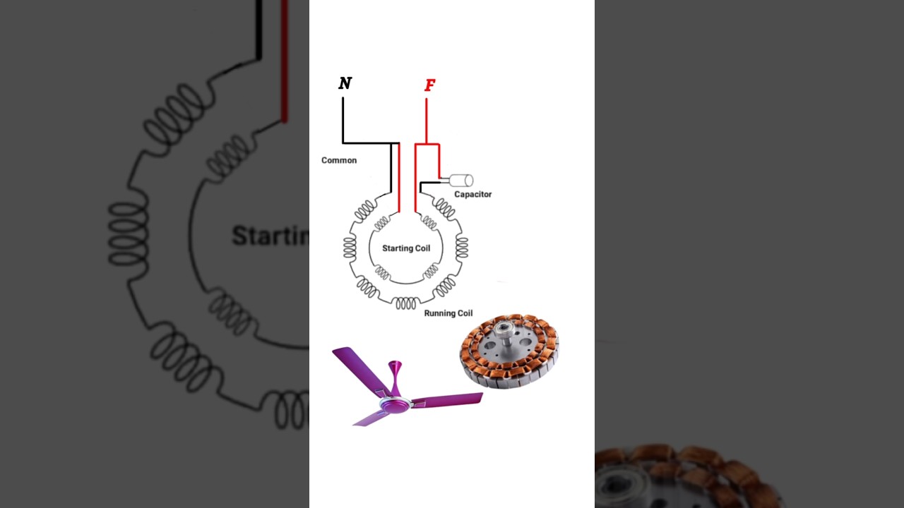 Ceiling fan winding diagram #shorts #viral #youtubeshorts #shortvideo #viralvideo #electronic