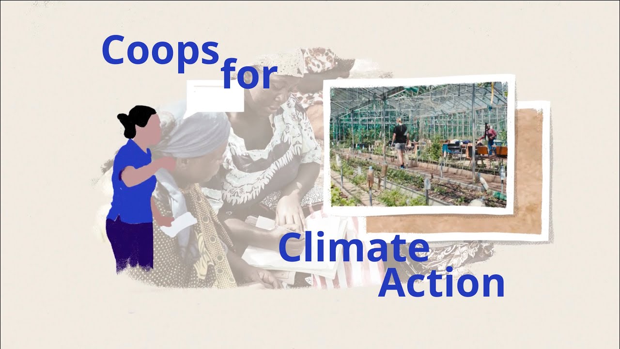Cooperatives for Climate Action - International Day of Cooperatives 2020