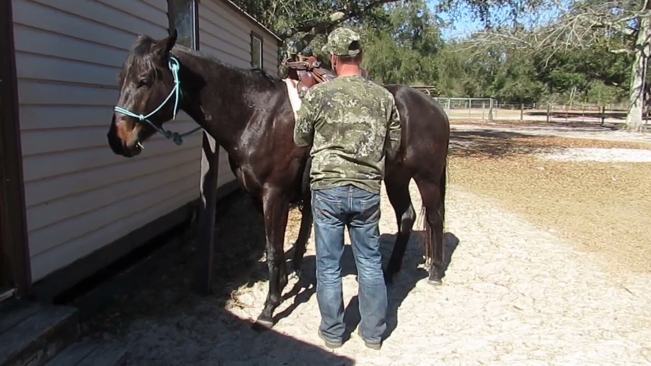raider saddling