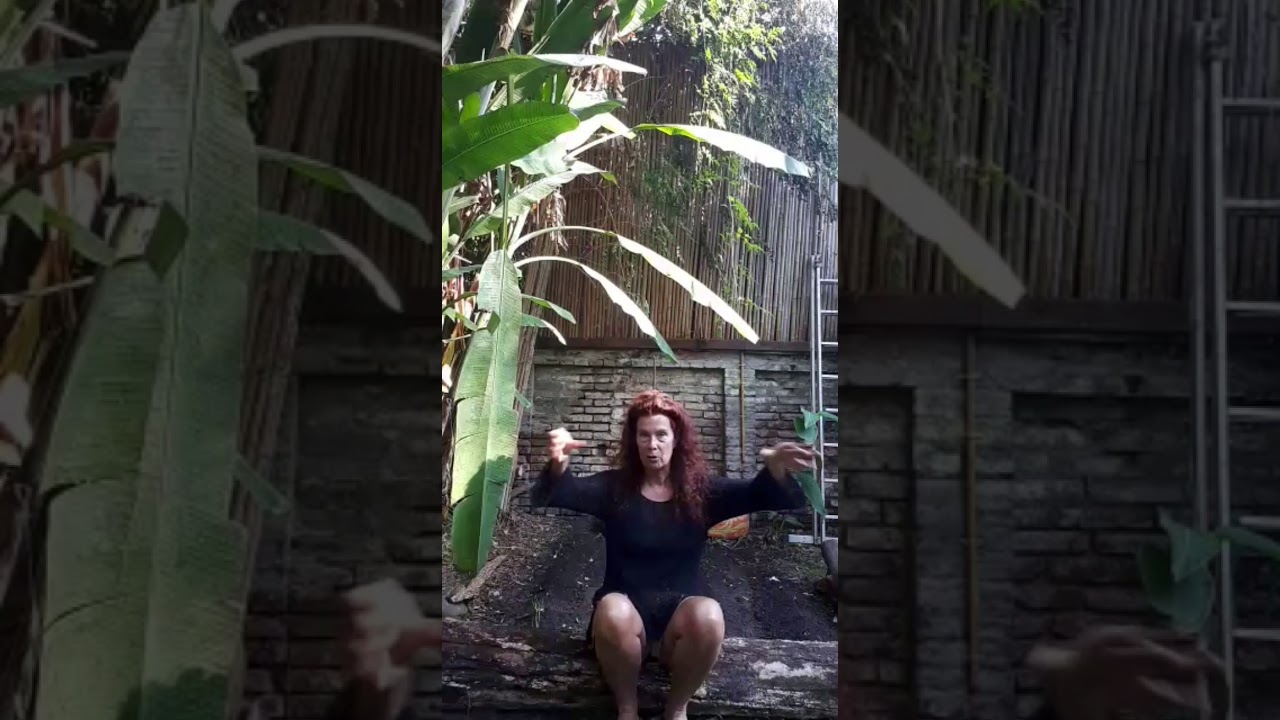 Katja Alemann - El Lado B