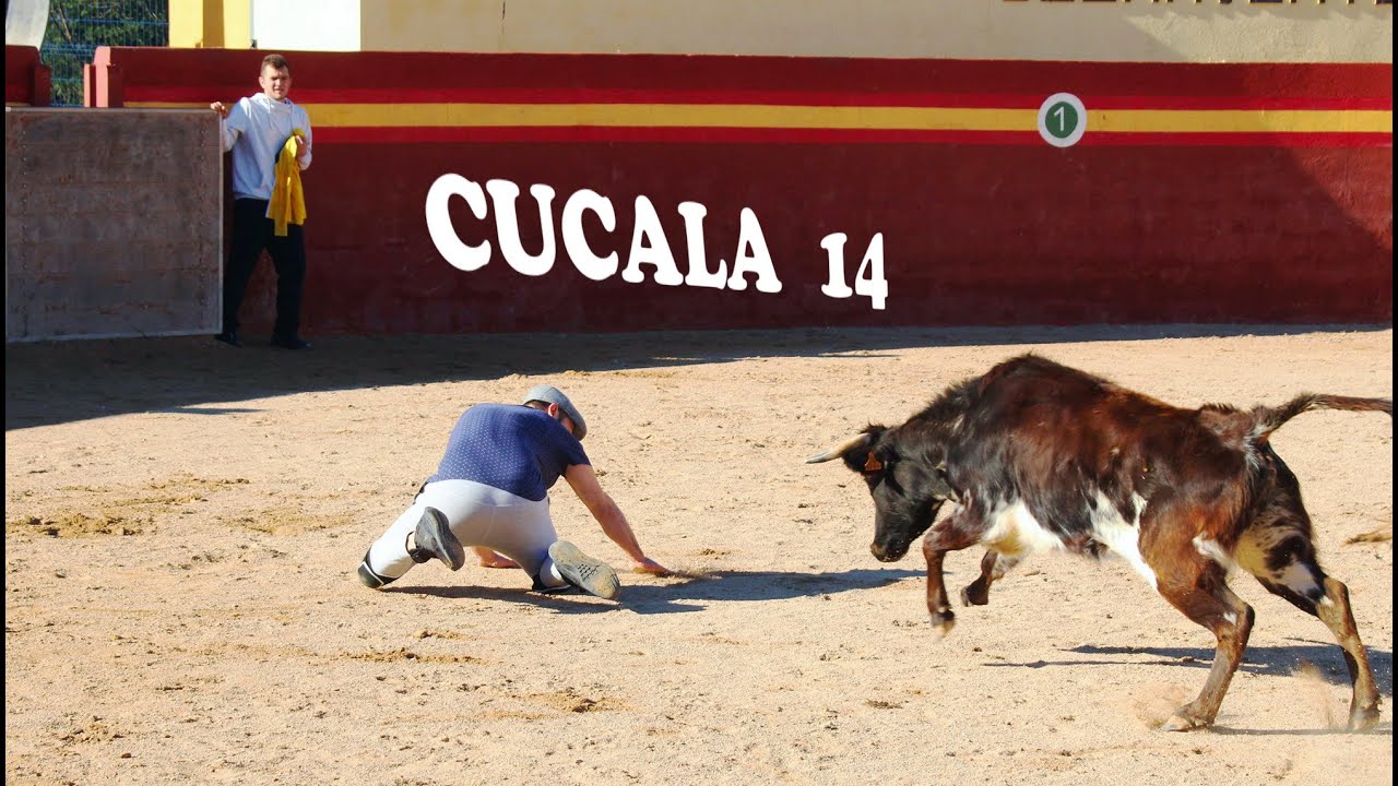 ✅2019 Alcala de Chisvert 14 ◾ Finca Cucala Capea