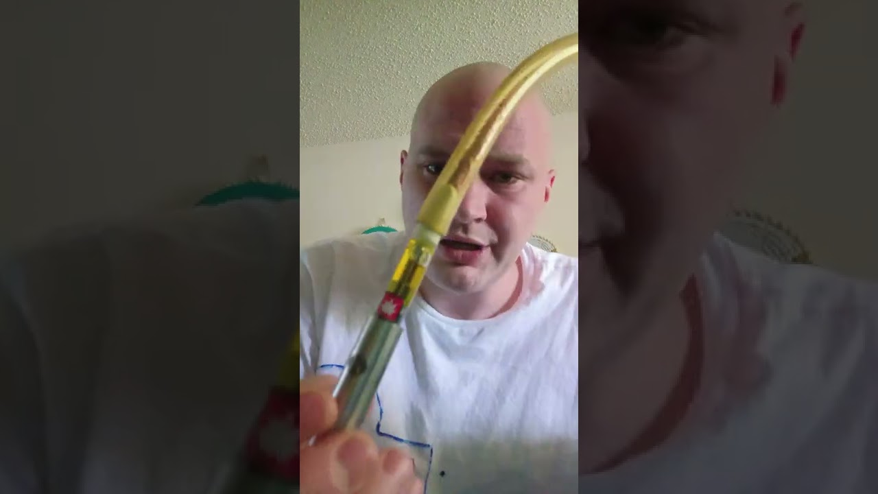 dab cart review Echo Electuary's Apples and Bananas and Runtz @echo Electuary