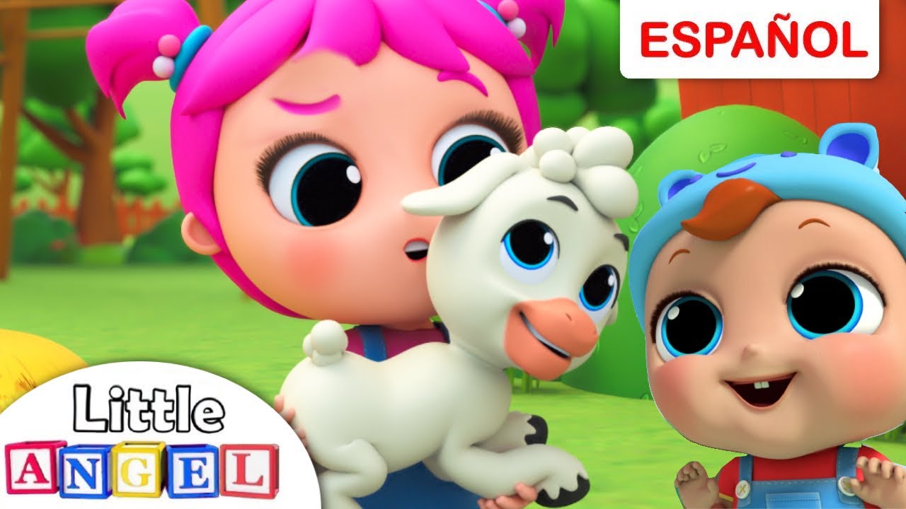 Bebé Juan tenía un Corderito 🐑 | Little Angel en Español