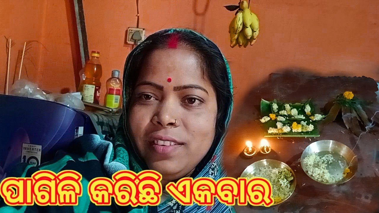 ପାଗିଳି କରିଛି ଏକବାର //#youtube #vlog /@sailifestyle