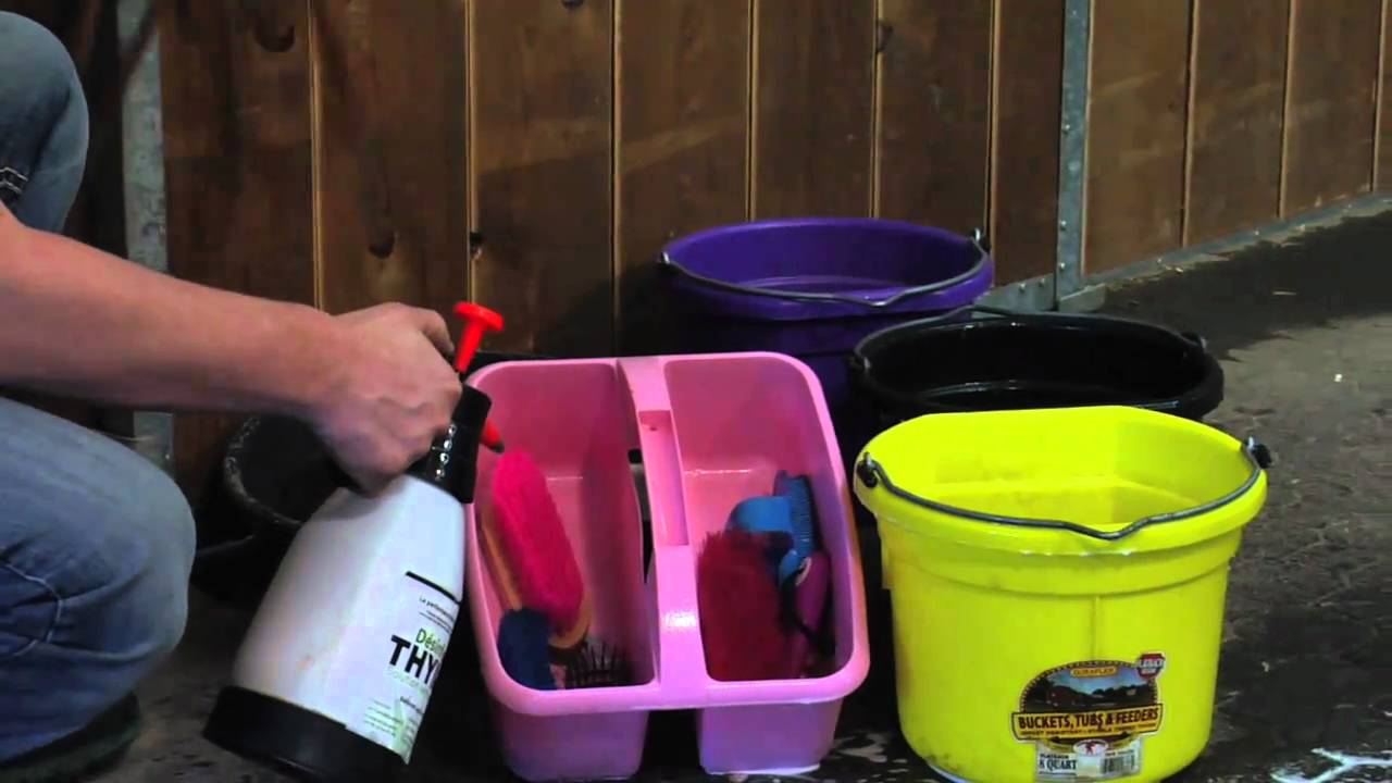 Video of Usage of Green Choice Thymox in a Stable