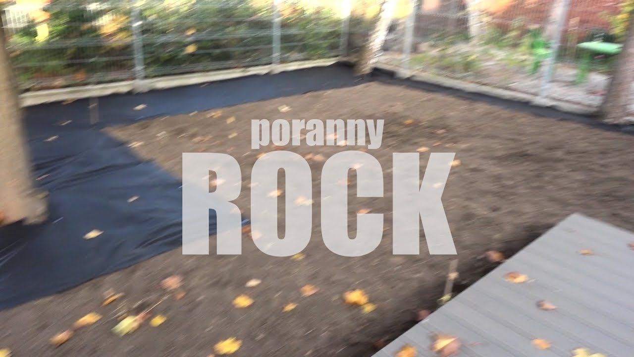 #porannyROCK #filmyOPTYMISTYCZNE #filmBORYSA