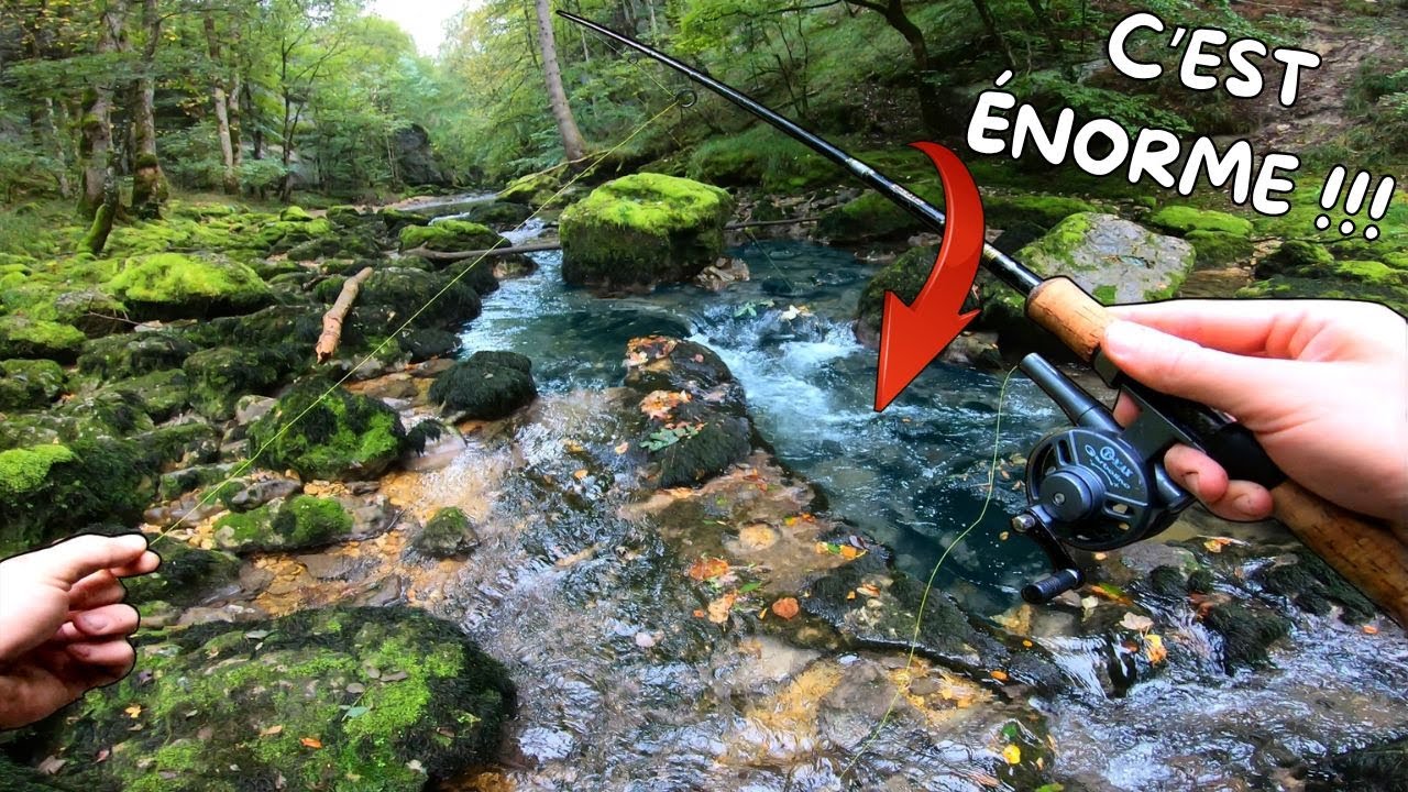 un GROS poisson INATTENDU se trouvait JUSTE DEVANT moi dans ce MINI-RUISSEAU !