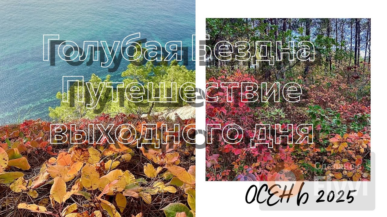 Голубая Бездна осень 2025: Путешествие выходного дня. #черноеморе