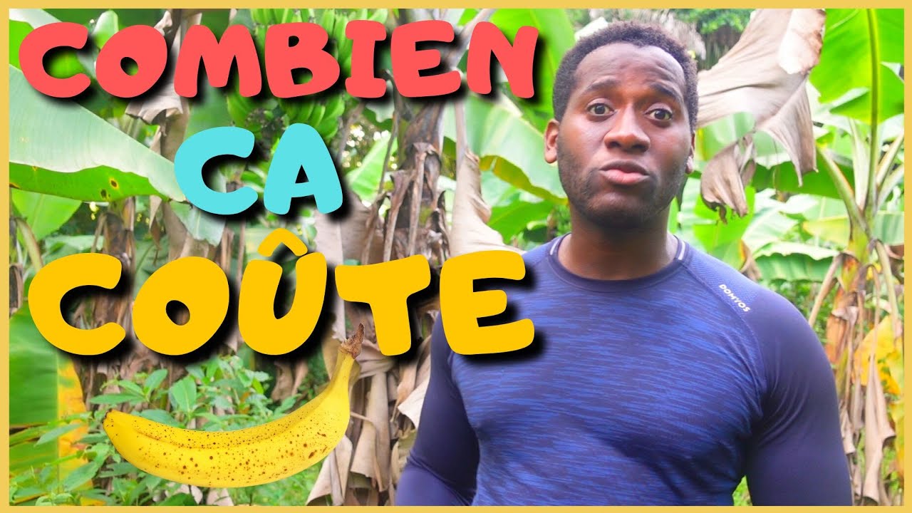 🍌 Combien pour débuter dans la culture de la BANANE | Investir en Guinée