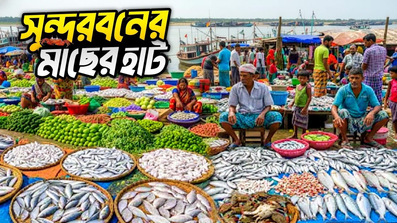 সুন্দরবনের বৃহত্তম মাছের হাট | Sundarban Biggest & Cheapest Fish Market 😱