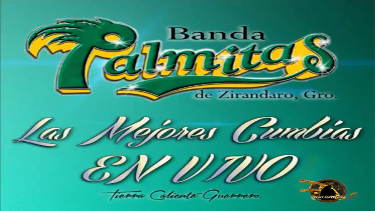 LAS MEJORES CUMBIAS BANDA PALMITAS