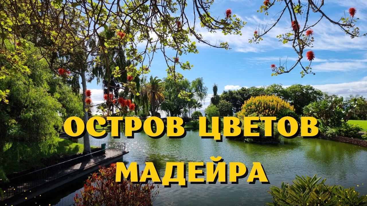 Мадейра. Цветы, сады, левады. Ноябрь 2025.