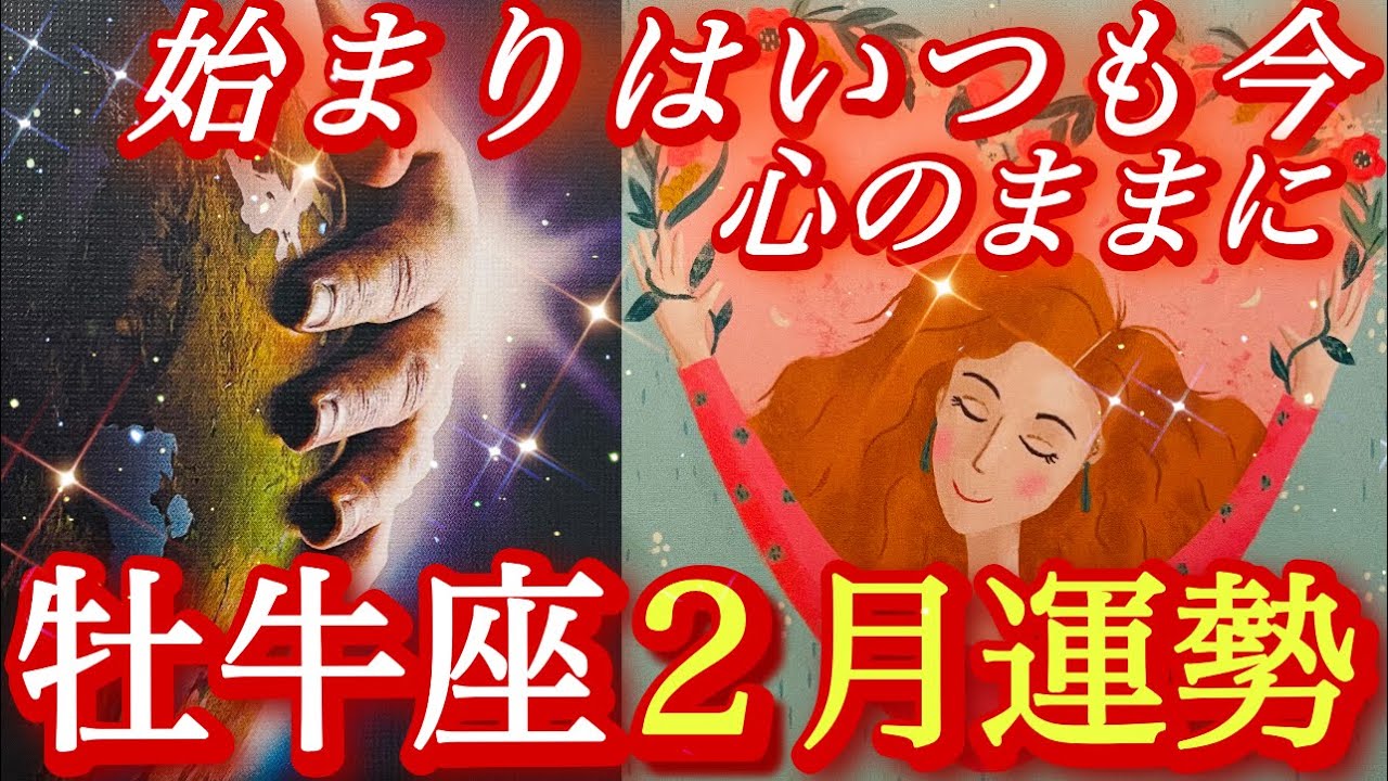 ♉️牡牛座♉️2026年2月の運勢🍀牡牛座さんのエネルギーがパワフルで凄かった❤️‍🔥❤️‍🔥❤️‍🔥