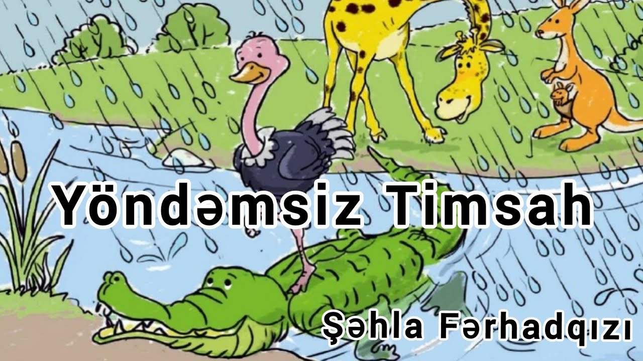 Yöndəmsiz Timsah. Şəhla Fərhadqızı.