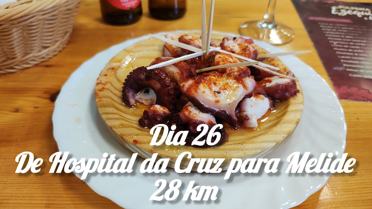 Caminho de Santiago de Compostela 2024 - Dia 26 - Hospital da Cruz / Melide - 28 km