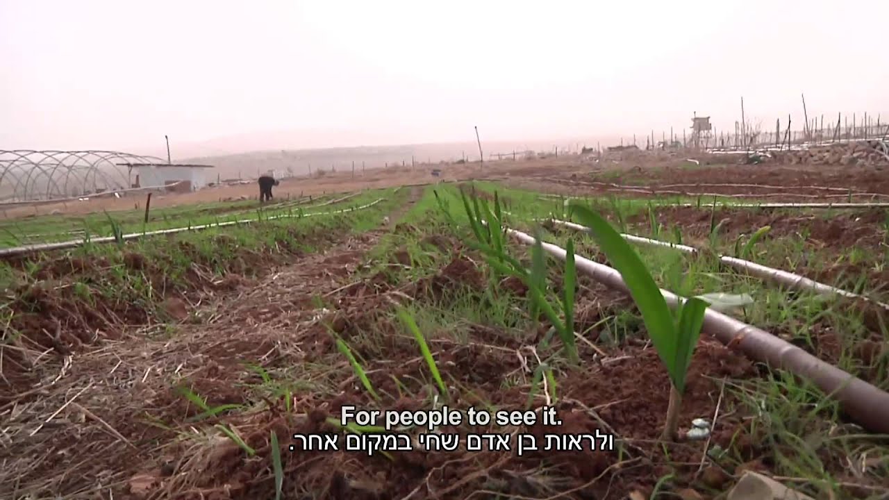 Making Of Niro & Flicka נירו ופליקה - מאחוריה הקלעים
