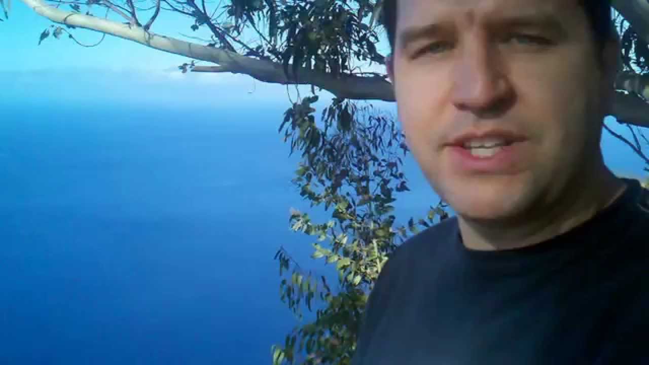 Experience Reduces Fear