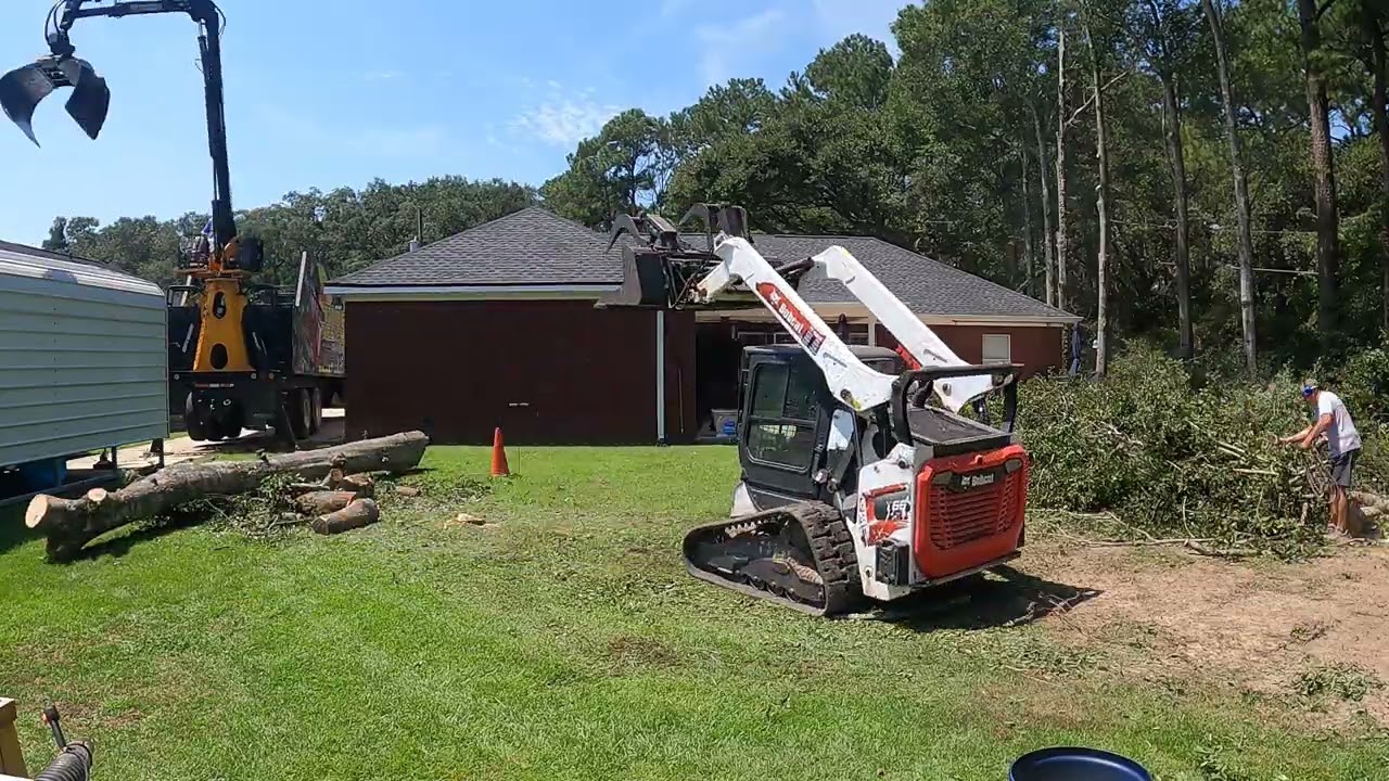 Timber Tree Service