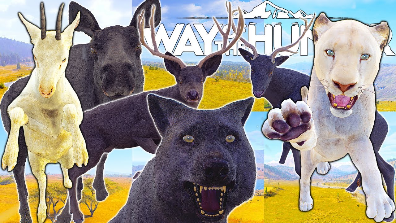 Six maps..Six Rare Fur.. | Way of the Hunter