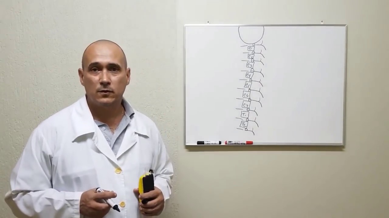 Plexo Braquial II
