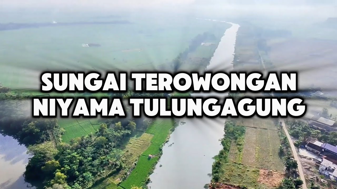 Mengapa Sungai Niyama Begitu PENTING Bagi Warga Tulungagung?