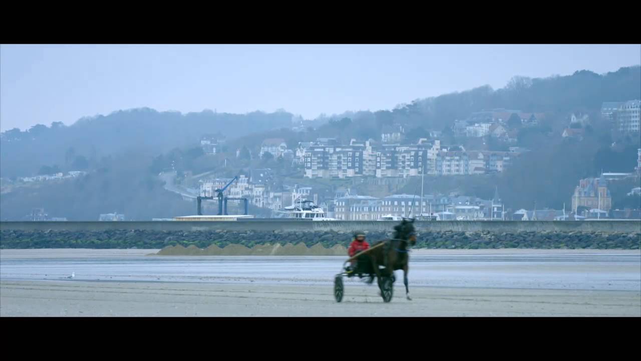 Chevaux à l'entraînement sur la plage de Deauville