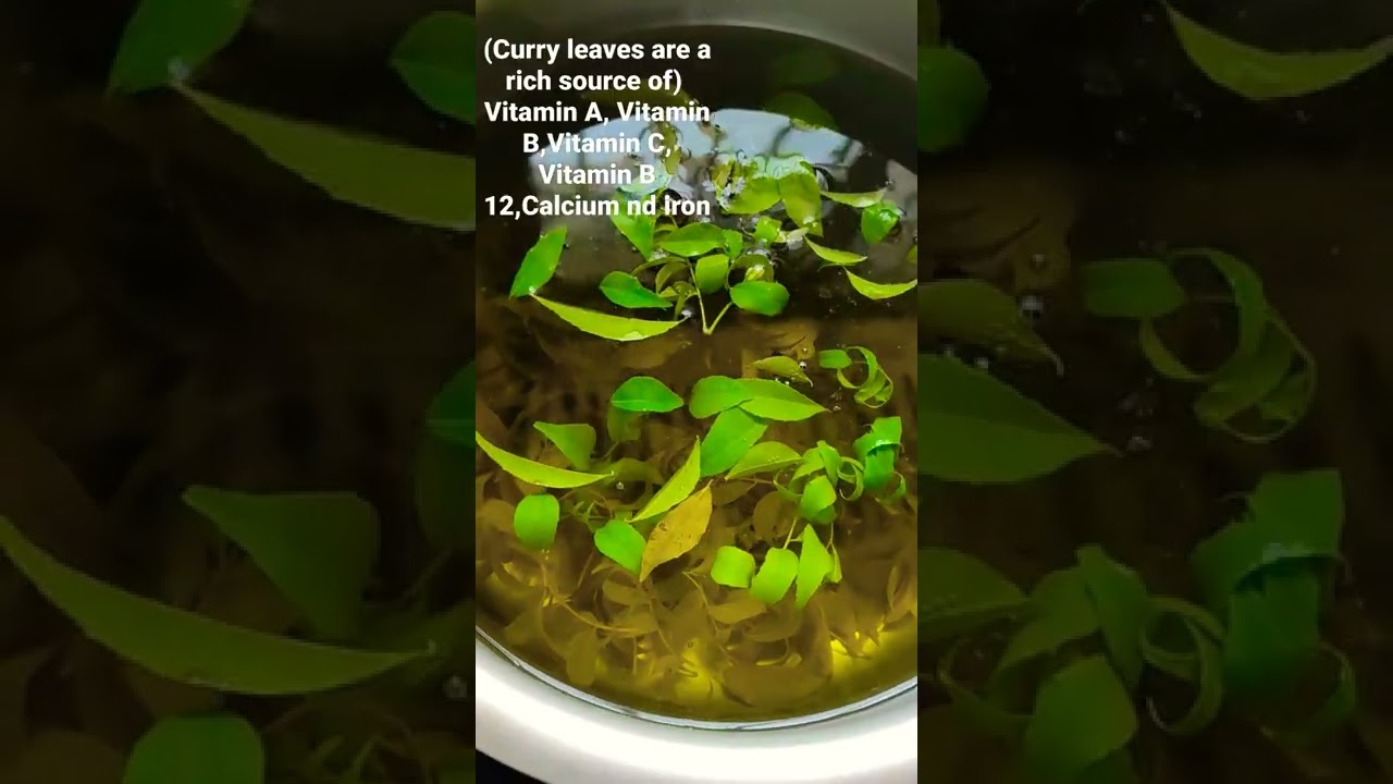 Curry leaves Tea (Benefits for Liver, Bad cholestrol,Anemia, Acidity, (Optional- Honey nd Lemon) 👍