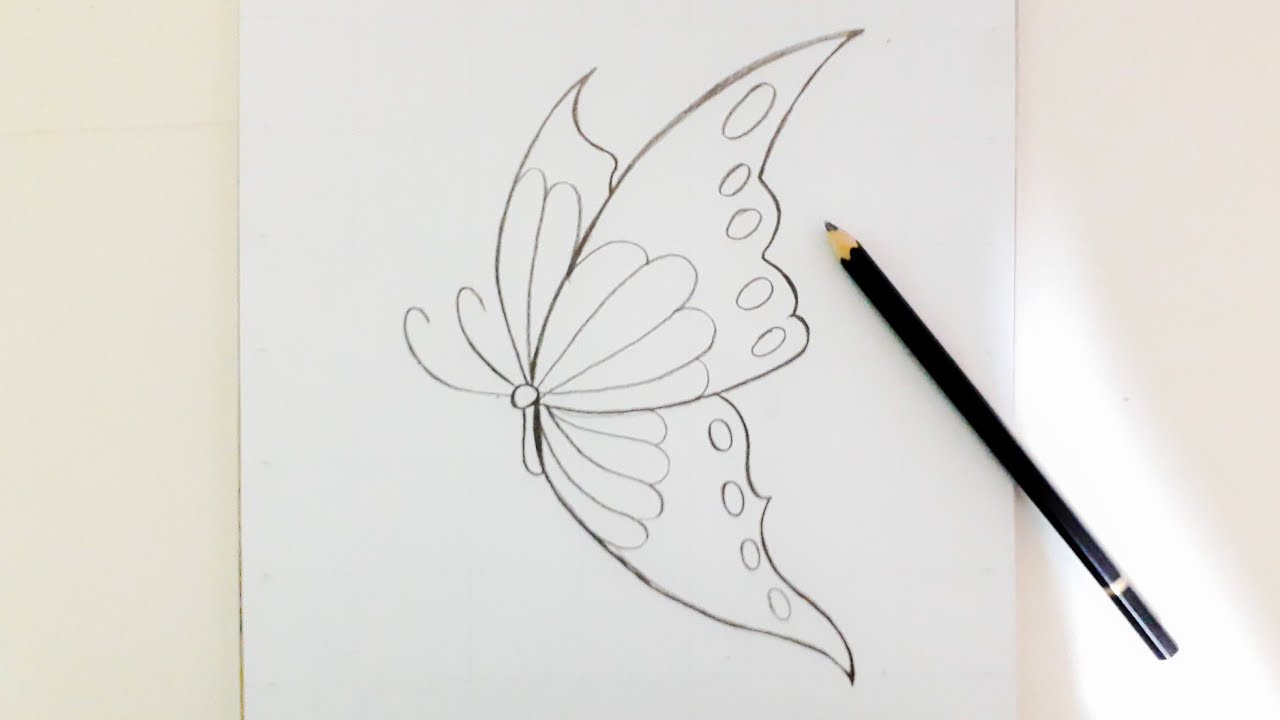 How to Draw a Butterfly | Step by Step | Como Desenhar uma Borboleta | COMO DIBUJAR UNA Mariposa