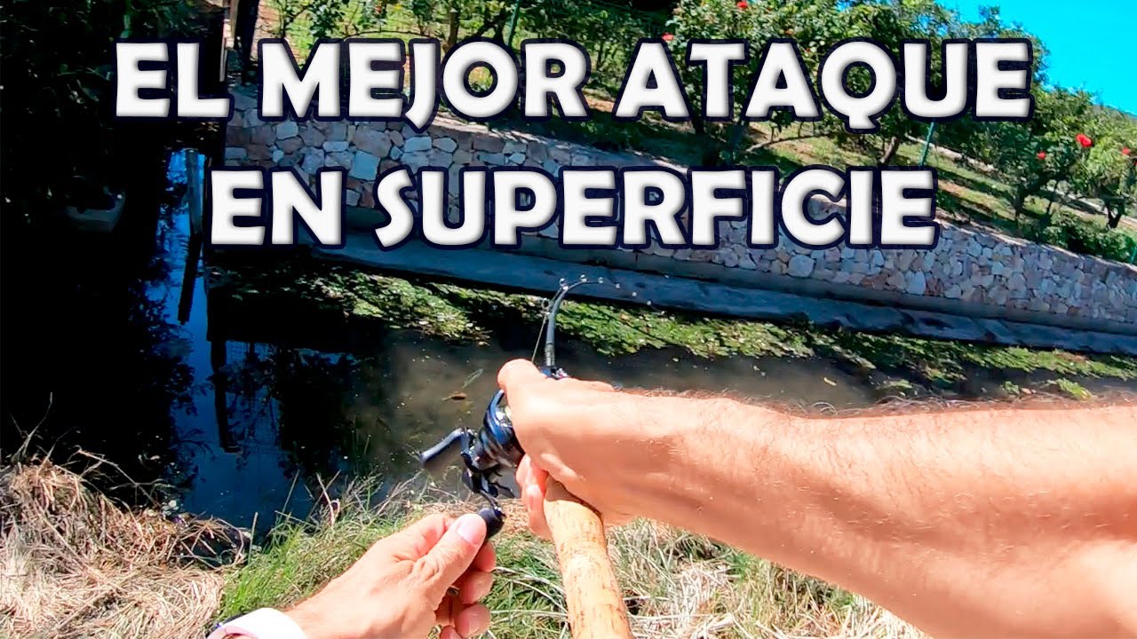 ATAQUE espectacular de un BLACK BASS en SUPERFICIE | Pescando con señuelos de rana