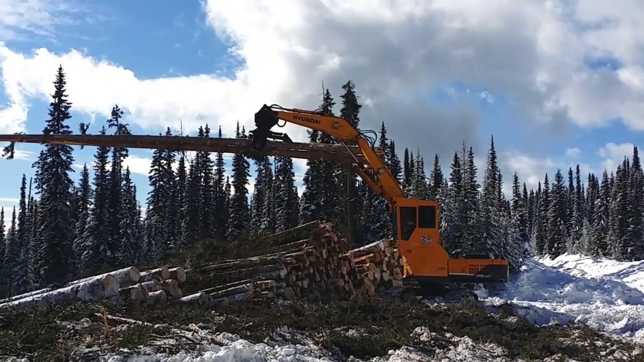 Power Grapple with Hybrid Arm