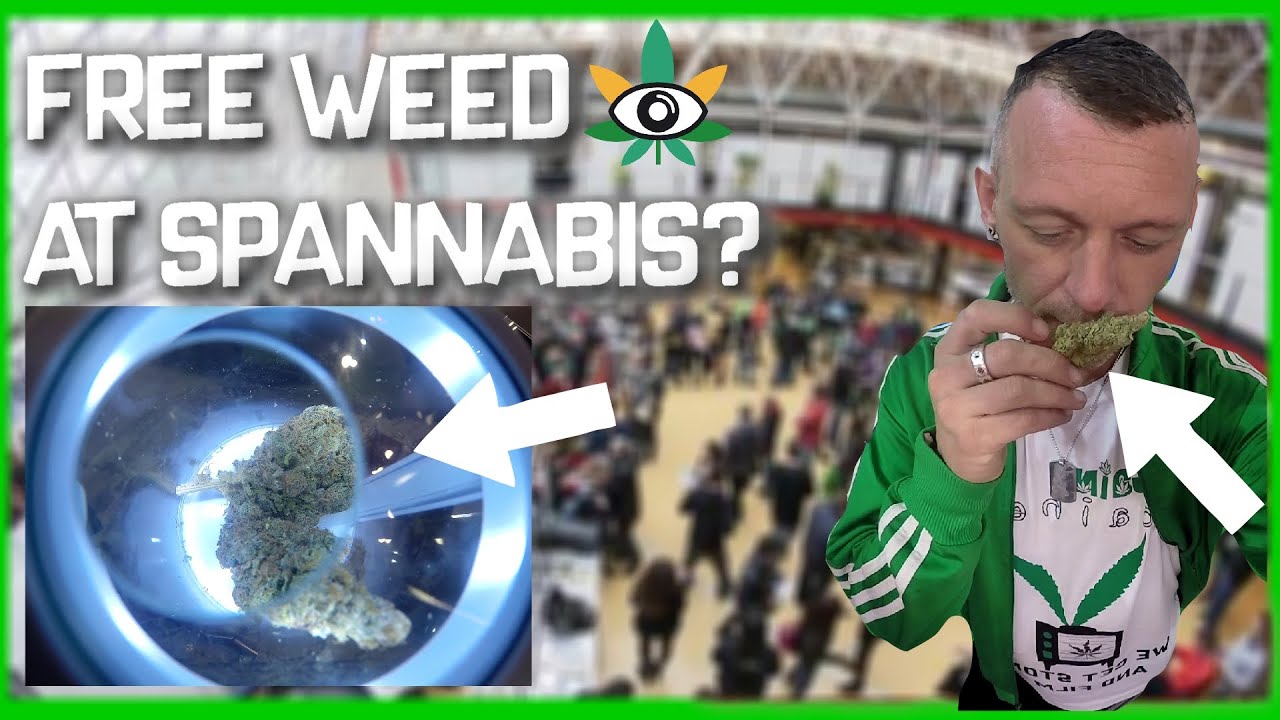 What Is Spannabis??? (Q&A) Feat Doctor Denz & Ismoke