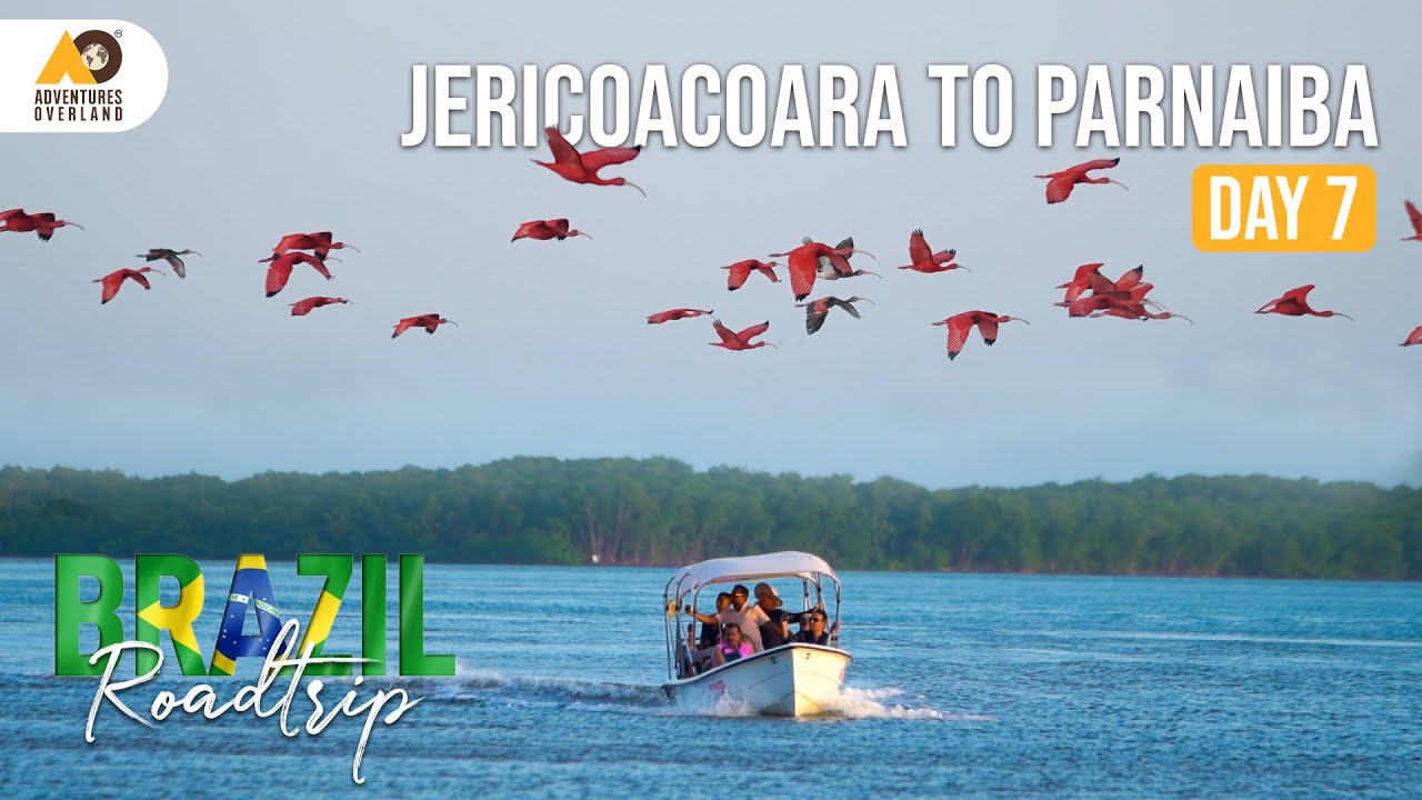Day 7- Jericoacoara To Parnaiba | Self Drive | River Crossing | Bird Watching | Scarlet Ibis in [4K]
