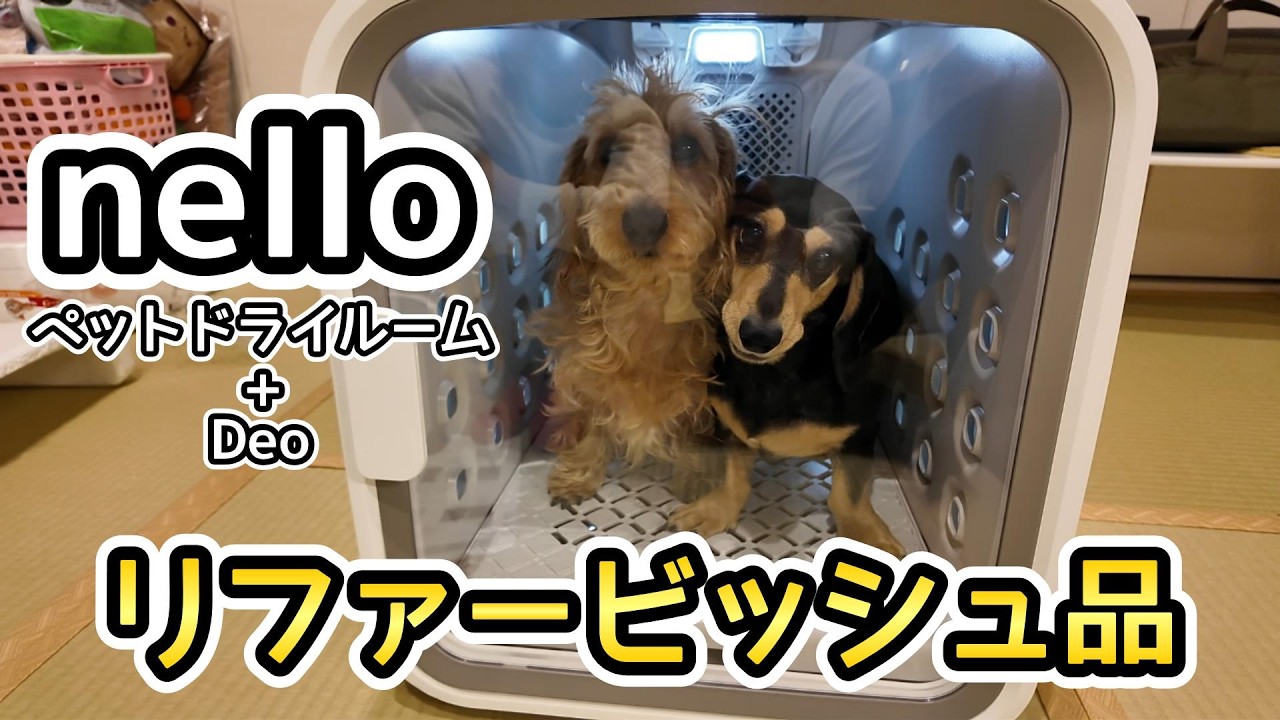 nelloペットドライルーム+Deo