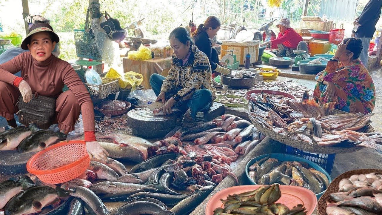 Amazing Cambodia Vlog & Fresh Food In Wet Market Cambodia