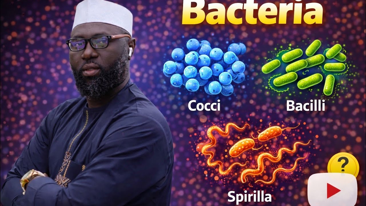 BACTERIA 3 | BACTERIA SHAPE | ARRANGEMENT OF BACTERIA SHAPE |              #GALADSCIENCEACADEMY