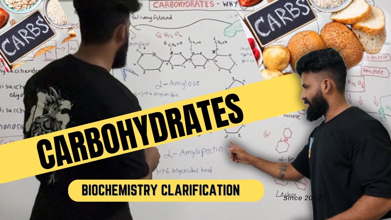 Everything you need to know about carbohydrates | Tamil