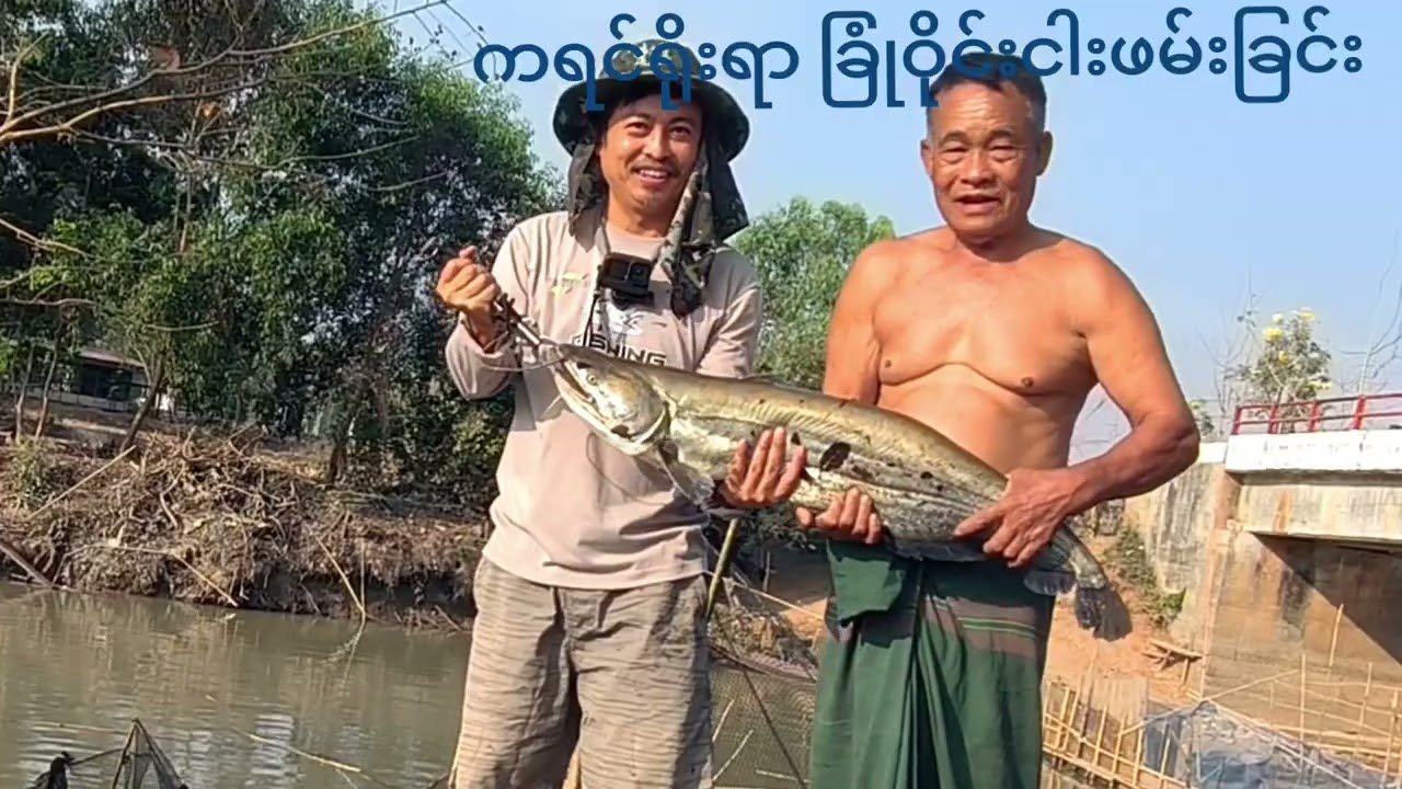 ကရင်ရိုးရာ ခြုံဝိုင်းငါးဖမ်းခြင်း