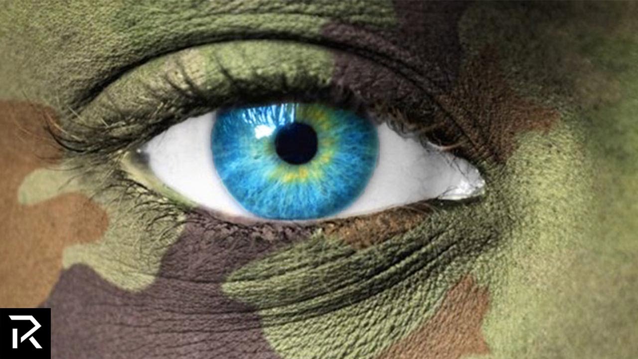 The Most Effective Camouflage In Military History