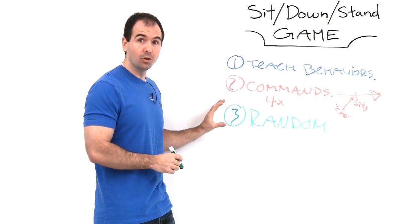 Basic Dog Obedience Game