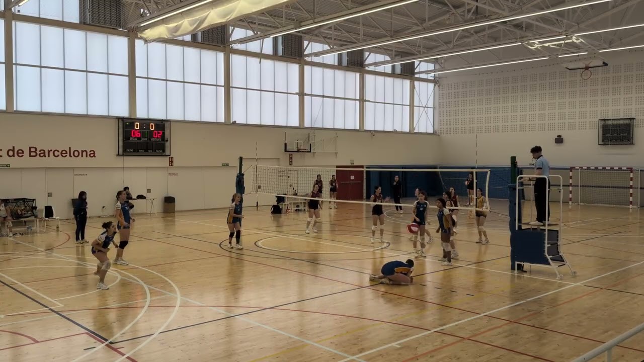 Murs juvenil blau - Gavà grana